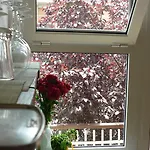 La Mariposa B&B