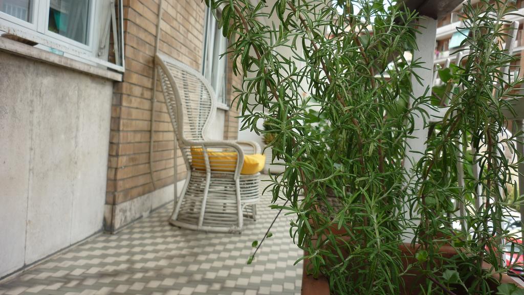 Bed & Breakfast La Mariposa Roma